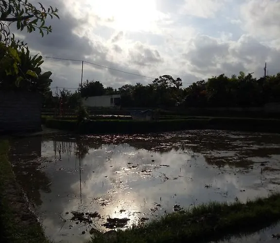 Esa Ubud (Bali)